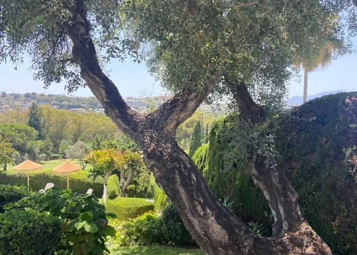 Pergolas בית נופש